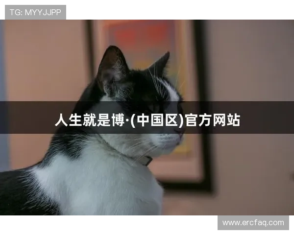 凯时尊龙人生就是博首页最新上线的热门游戏推荐，满足不同玩家的多样化娱乐需求