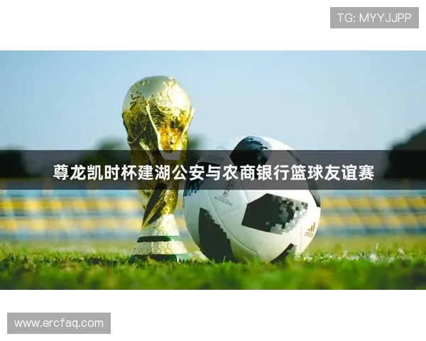 跟随尊龙凯时国际官网入口，分享欢乐时光与惊喜奖金的旅程